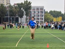 综合体育多项目联动报道 打造一站式体育门户